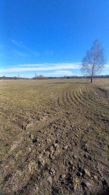 продажа участок под жилую застройку Фастовский, Мотовиловка, 9990 $  - изображение 3