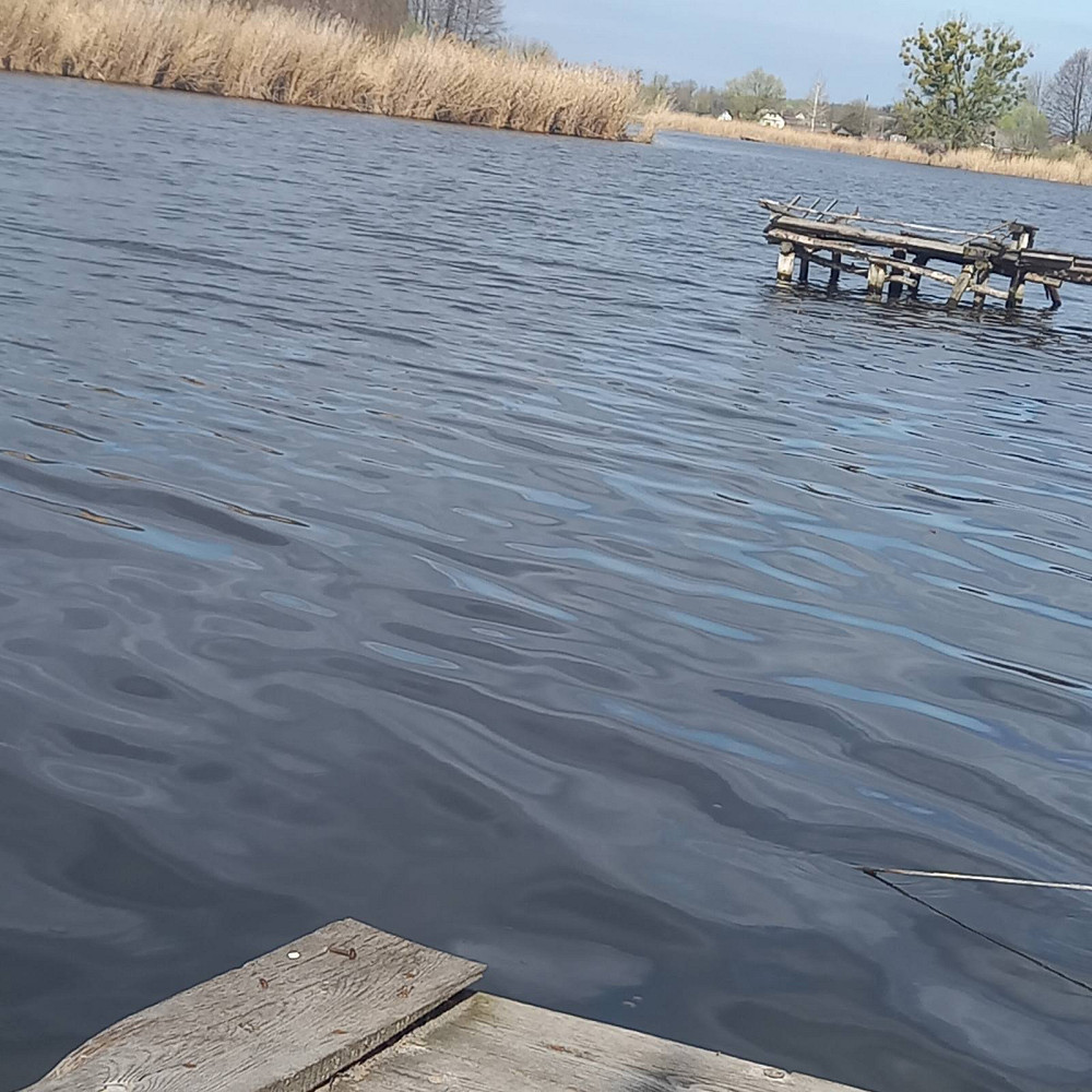 Мальовнича ділянка 15 соток Радомышль - изображение 5