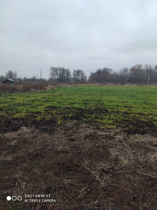 Ділянка під садівництво в Нижчій Дубечні 10 соток Вышгород - изображение 1