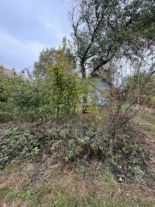 продажа земля сельскохозяйственного назначения Бориспольский, Чубинское, 18000 $  - зображення 12