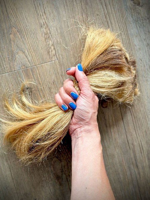 Купую волосся у ЛУЦЬКУ від 35 см. Працюю прозоро та спокійно Viber 0961002722 Telegram 0633013356 Луцьк - зображення 1