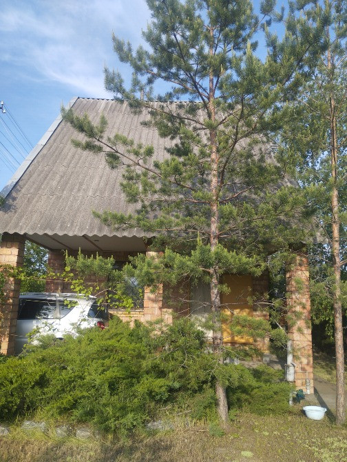 Продам дачу в Партизанском Дніпро - зображення 4