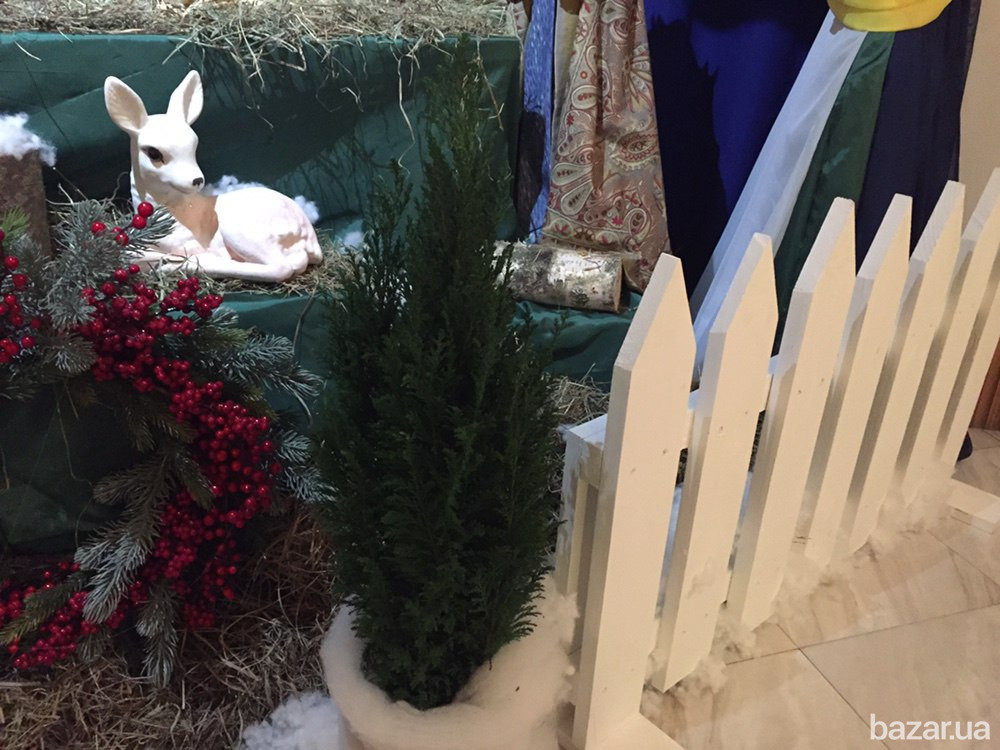 Заборчик садовый. Декоративное ограждения Київ - зображення 4