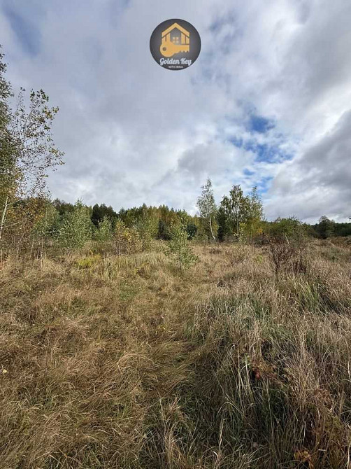 продажа земля сельскохозяйственного назначения Вышгородский, Ровы, 35000 $  - зображення 5