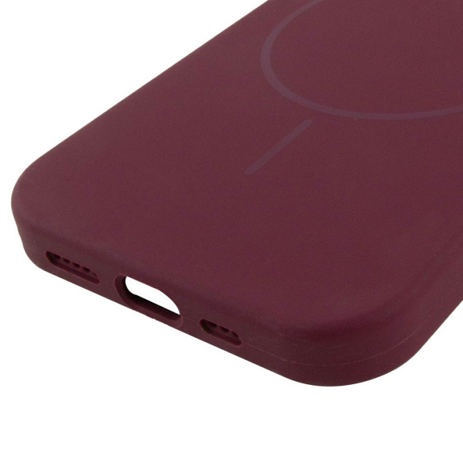 Чехол Silicone Case Full Protective (AA) NO LOGO with MagSafe для Apple iPhone 11 Pro (5.8") Херсон - изображение 5