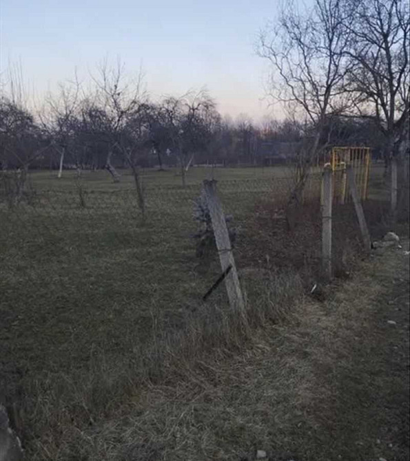 продажа земля сельскохозяйственного назначения Хустский, Залом, 99682 грн.  - зображення 2