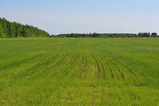 СРОЧНАЯ аренда земли сельхозназначения. ФАСАД КИЕВСКОЙ ТРАССЫ Одесса - изображение 1