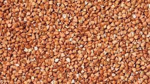 Продам гречку нового врожаю Ужгород - зображення 1