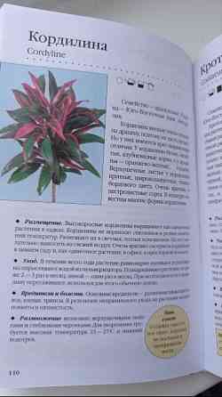 Книга комнатные растения. Новое руководство по уходу. Воронцов В. В. Киев