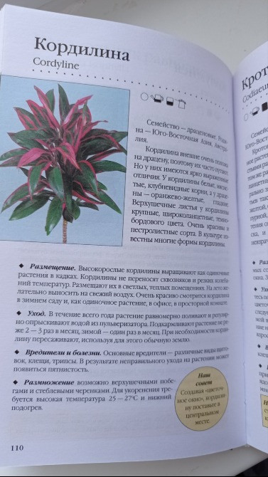 Книга комнатные растения. Новое руководство по уходу. Воронцов В. В. Київ - зображення 4