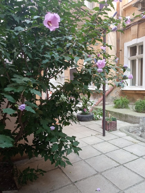 Сдам свою квартиру на Море! Одеса - зображення 3