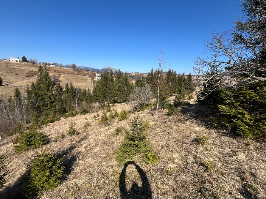 Земельна ділянка в Яблуниці 0.25 га Яремче - зображення 11