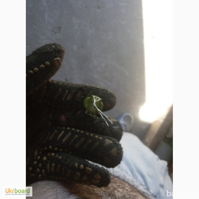 Трансформаторы ГХ4 720 024. ГХО 4720 06 импульсные , Харків - зображення 5