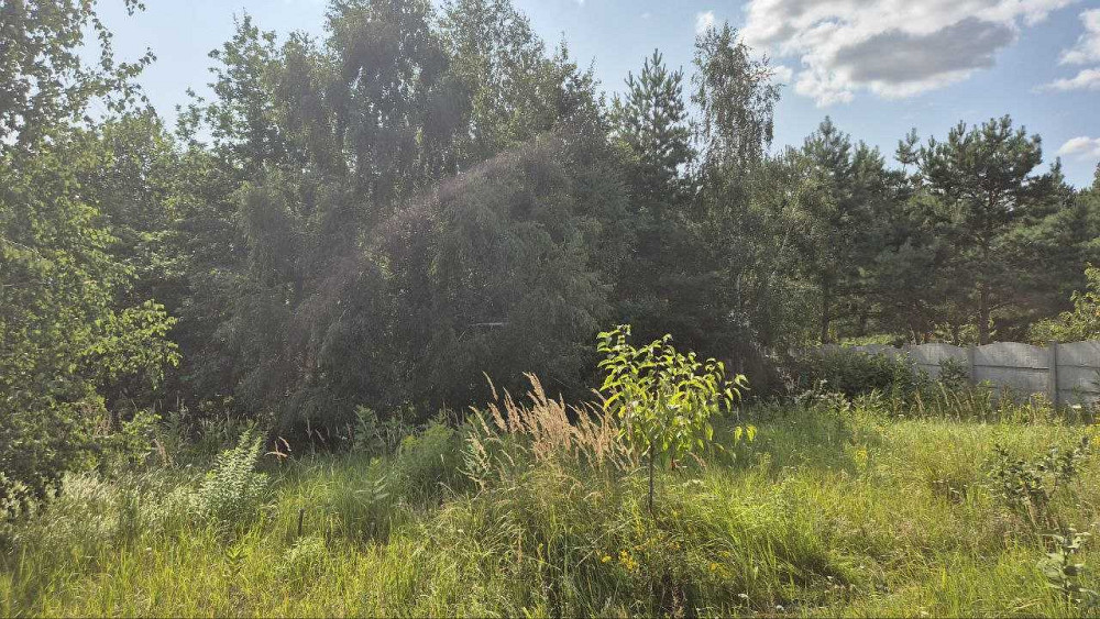 продажа участок под жилую застройку Киево-Святошинский, Музычи, 21199 $  - изображение 2