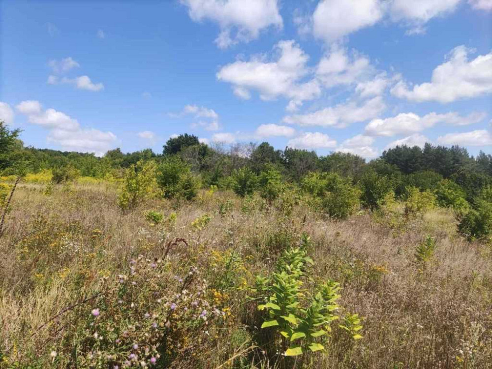 продажа участок под жилую застройку Богуславский, Богуслав, 6200 $ Богуслав - изображение 2