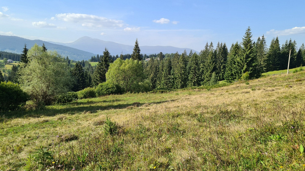 Земельна ділянка у селі Яблуниця - 0,16 га Яремче - зображення 3