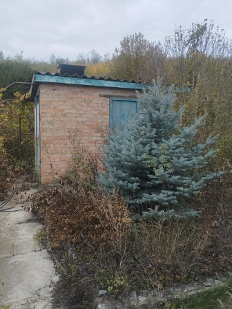 Продам дом -дачу в Подгородном СТ Горизонт Дніпро - зображення 3