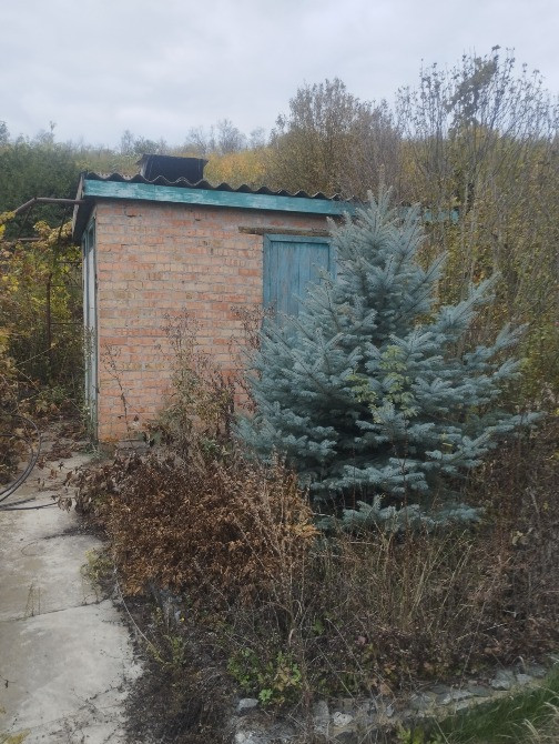 Продам дом -дачу в Подгородном СТ Горизонт Днепр - изображение 3