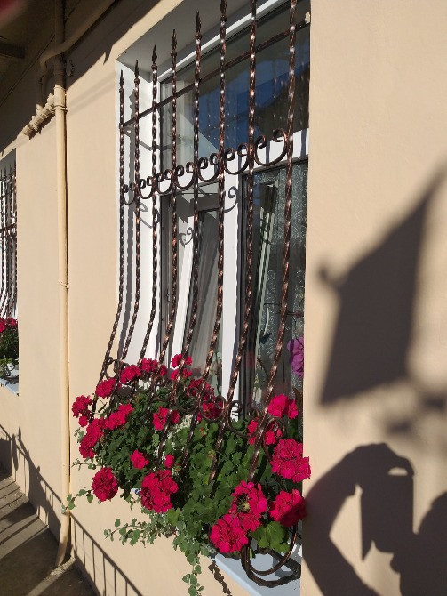 декоративні решітки на вікна Львів - зображення 1