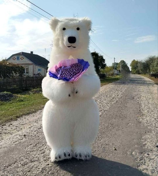 Белый медведь Житомир.Заказать мишку аниматора на день рождения. Житомир - изображение 2