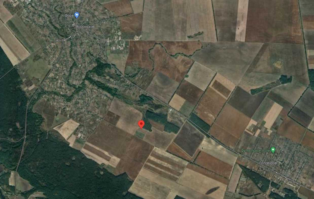 продажа земля сельскохозяйственного назначения Бориспольский, Вороньков, 333000 грн.  - изображение 5