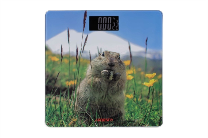 Ваги підлогові Ardesto SSCB-965MARMOT 150 кг Киев - изображение 1