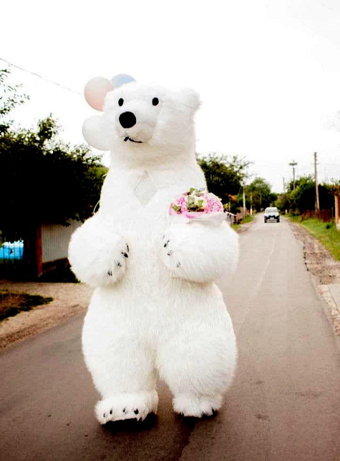 Белый медведь Кропивницкий.Заказать медведя в Кропивницком на праздник. Кропивницкий - изображение 5