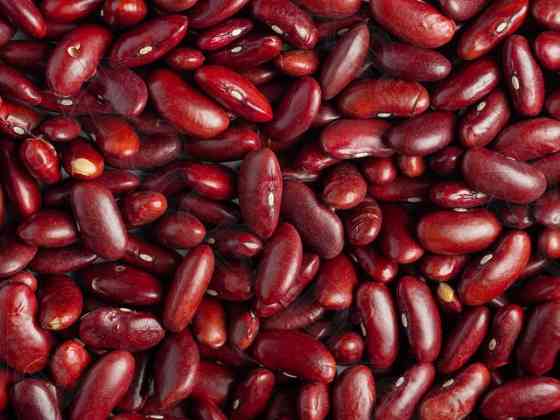 Сортова квасоля: Ліма, Мавка, Рубін, Бандоля, Неві, Пінто та ін Кропивницький