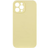 Чехол Silk Full Camera Protective (AA) NO LOGO для Apple iPhone 12 Pro (6.1") Херсон