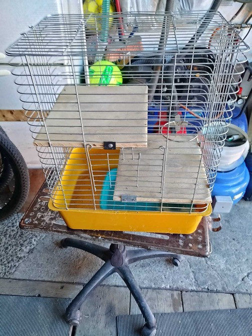 Продам велику клітку для тваринок Київ - зображення 1