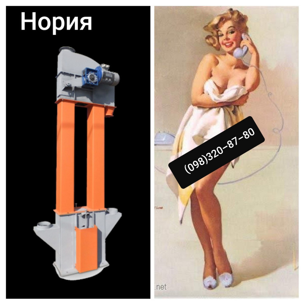 Норія НКЗ-25 -  в зборі на контрприводі (ел.двигун 1,5кВт) Київ - зображення 9