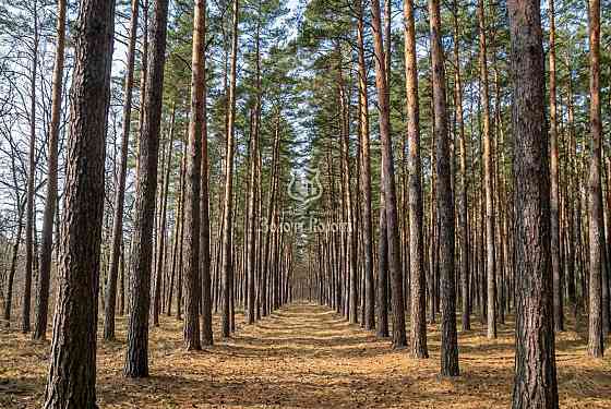 продажа участок под жилую застройку Мироновский, Козин, 1000000 $ 