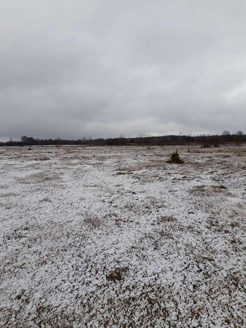 продажа участок под жилую застройку Ковельский, Ковель, 90000 грн. Ковель - изображение 3