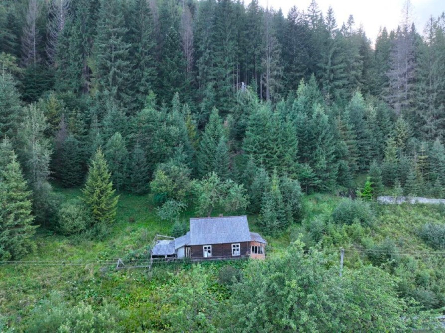 Земельна ділянка в Татарові біля водоспаду Гук 0.25 га Яремче - зображення 1