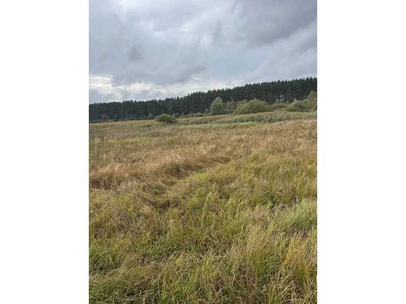 продажа земля сельскохозяйственного назначения Вышгородский, Литвиновка, 341828 грн.  - изображение 9