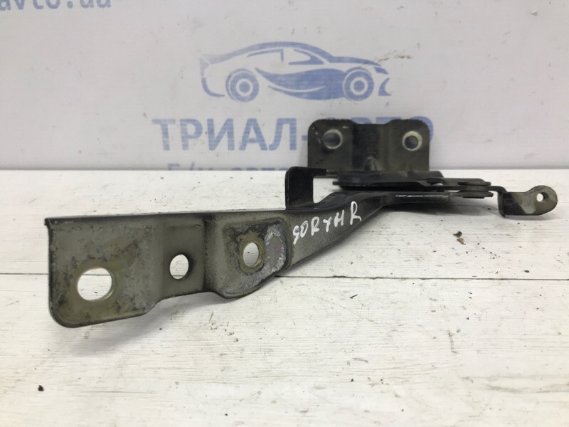 Петля капота правая Kia Sorento 2009-2014 791202P000 (Арт. 54087) Киев - изображение 2