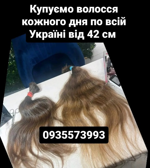 Купуємо волосся кожного дня по всій Україні від 42 см -0935573993 Киев - изображение 1