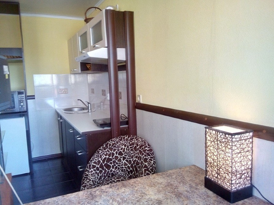 Хозяин: Центр, Печерск, М. Дружбы Народов: современная, видовая. Без комиссии. Киев - изображение 7