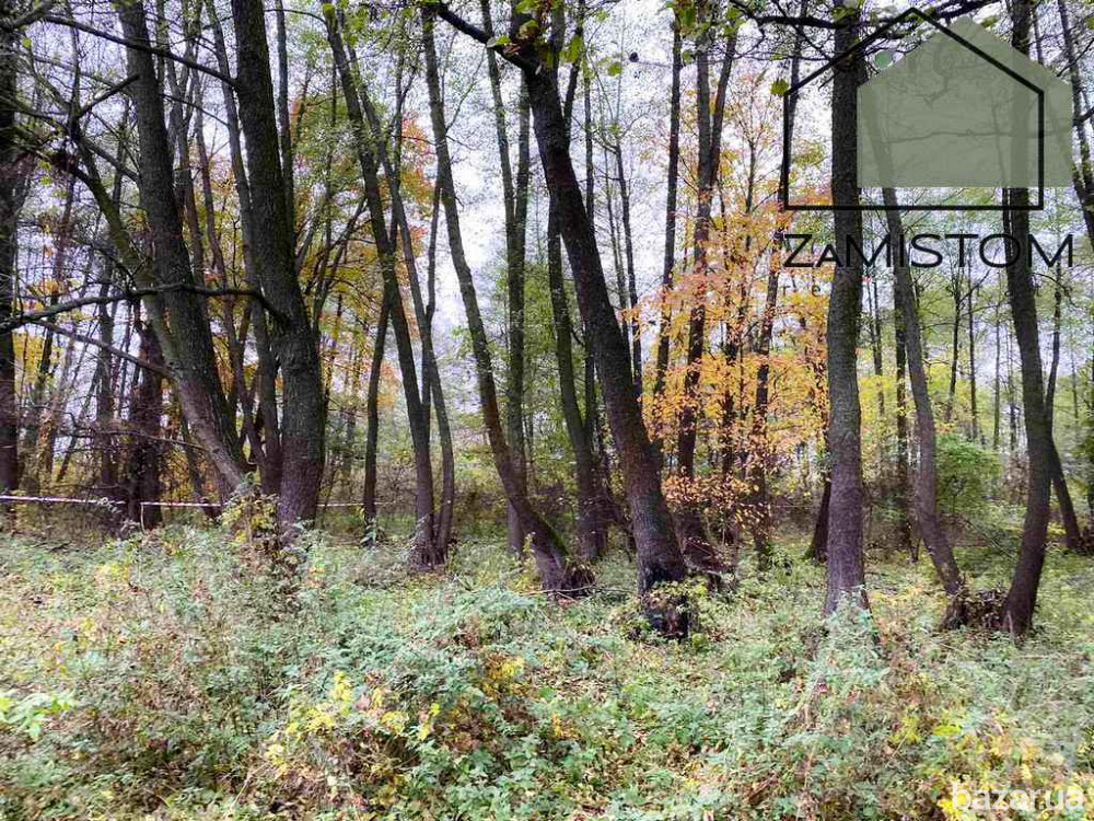 Продаж ексклюзивної ділянки під житлове будівництво 25 соток в с. Гнідин Київська область . 14 км ві Бориспіль - зображення 5