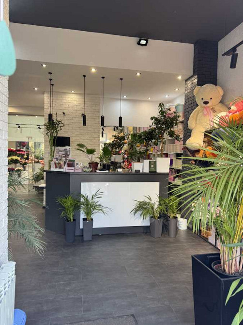 продажа помещения свободного назначения, здания Киев, Соломенский, 235000 $ Киев - изображение 6