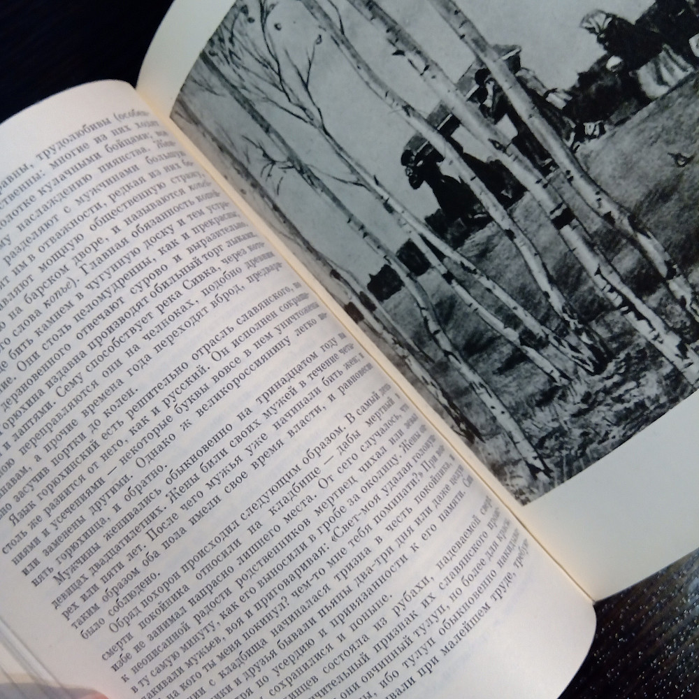 Книга: А. ПУШКИН Сочинения. Львов - изображение 5