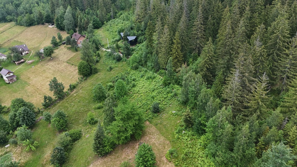 Земельна ділянка в Яремчі 0.06 га Яремче - зображення 5