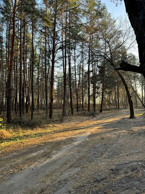 продажа участок под жилую застройку Новомосковский, Песчанка, 10000 $  - изображение 7