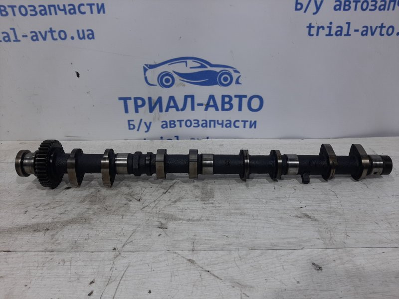 Распредвал выпускной Toyota Prado J120 3.0 DIESEL 1KDFTV 2002 (б/у) Київ - зображення 1