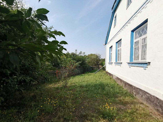 продажа 3-к дом Васильковский, Гребенки, 21000 $  - изображение 4