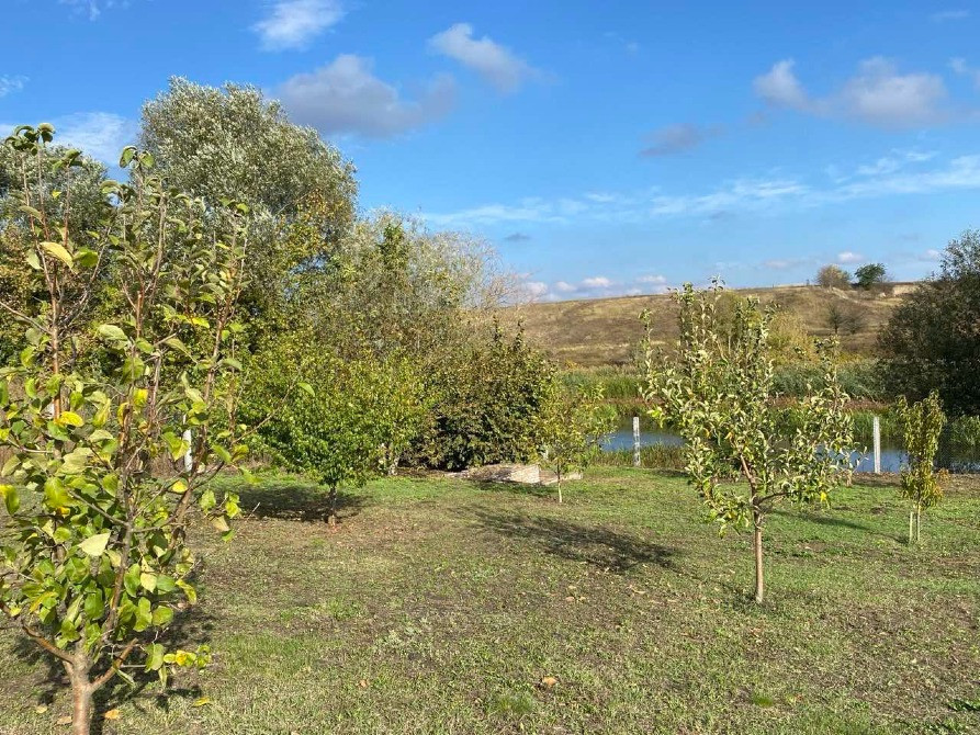 Продаж будинку с. Мала Сквирка, на березі річки Рось! Белая Церковь - изображение 10