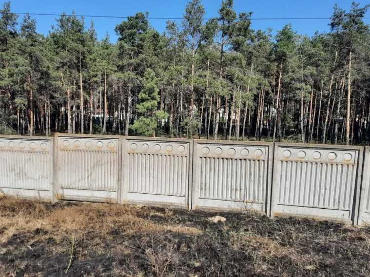 продажа земля сельскохозяйственного назначения Бориспольский, Вороньков, 2147559 грн.  - изображение 2