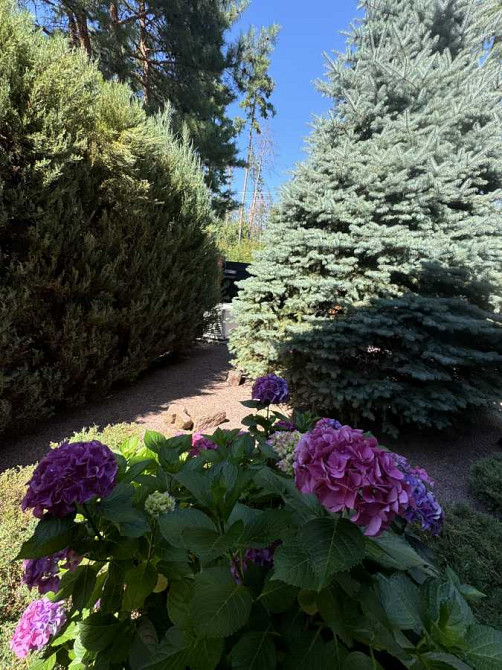 продажа 4-к дом Бориспольский, Гора, 350000 $  - зображення 3