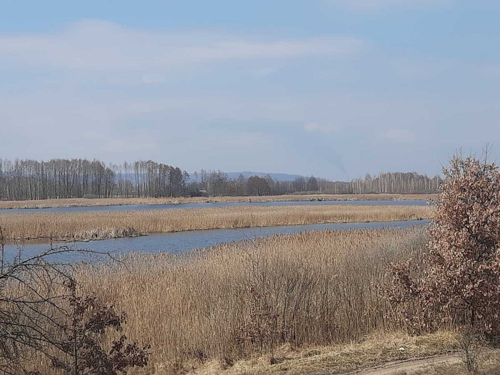 продажа земля сельскохозяйственного назначения Бориспольский, Головуров, 157080 грн.  - изображение 2