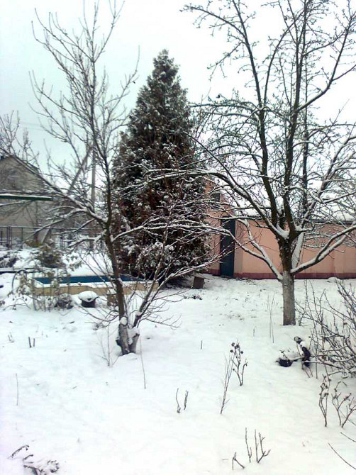 продажа 7-к дом Черкассы, Лозовок, 2749111 грн.  - зображення 12